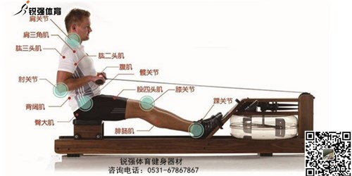 划船机和开云手机版登录入口-开云(中国)官方
哪个锻炼更有效